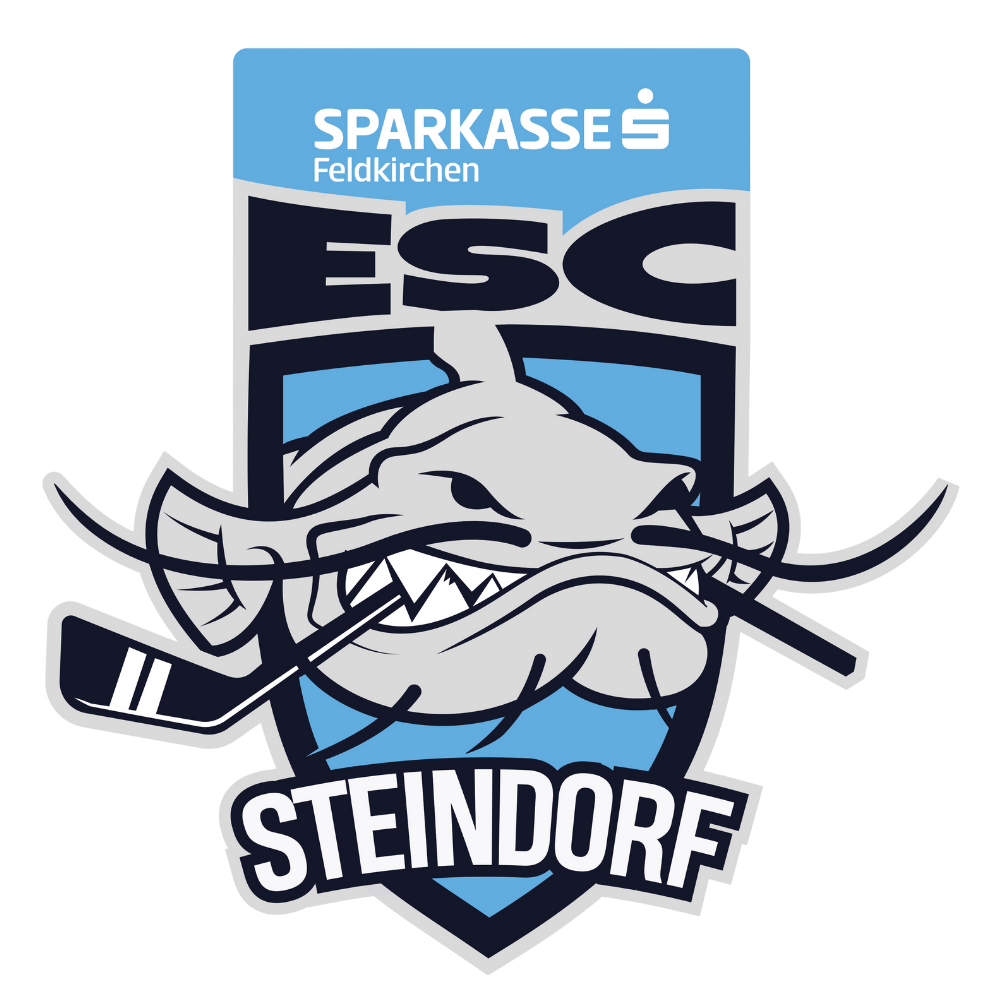 ESC SoccerZone Steindorf